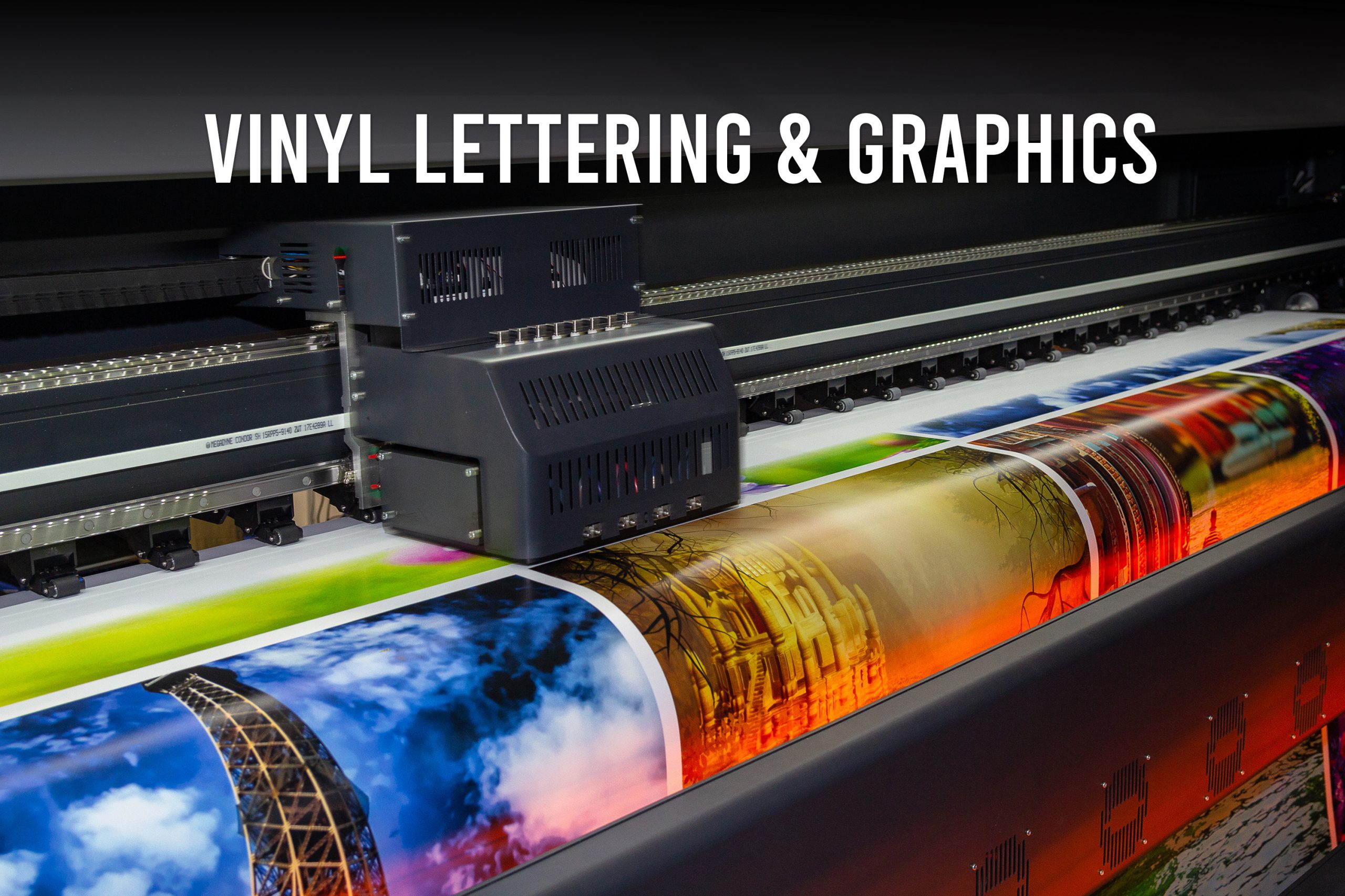 Vinyl Lettering & Graphics